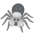 Pudel + Spinne