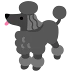 Pudel + schwarzes Herz