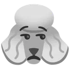 Pudel + verstimmtes Gesicht