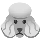 Pudel + betrübtes Gesicht