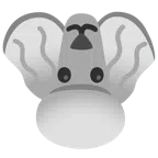 Pudel + umgekehrtes Gesicht