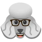 Pudel + Strebergesicht