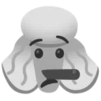 Pudel + lügendes Gesicht