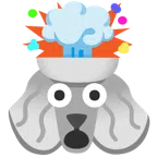 Pudel + explodierender Kopf