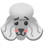 Pudel + schwindeliges Gesicht
