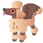 Pudel + Eule