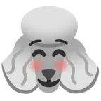 Pudel + lächelndes Gesicht