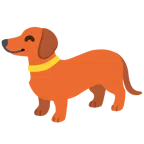 Hundegesicht + Hotdog