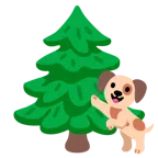 Hundegesicht + Nadelbaum