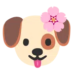 Hundegesicht + Kirschblüte
