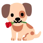 Hundegesicht + Rose