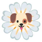 Hundegesicht + gelbe Blüte
