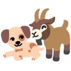 Hundegesicht + Ziege