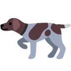 Hundegesicht + Vogel