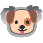 Hundegesicht + Koala