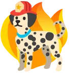 Hundegesicht + Feuer