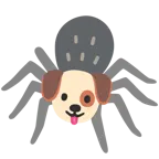 Hundegesicht + Spinne