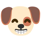 Hundegesicht + strahlendes Gesicht mit lachenden Augen