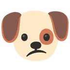 Hundegesicht + verwundertes Gesicht