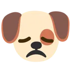 Hundegesicht + enttäuschtes Gesicht