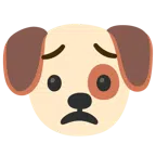 Hundegesicht + besorgtes Gesicht