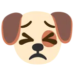 Hundegesicht + entschlossenes Gesicht