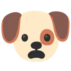 Hundegesicht + entsetztes Gesicht