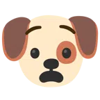 Hundegesicht + qualvolles Gesicht