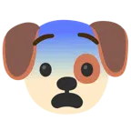 Hundegesicht + ängstliches Gesicht