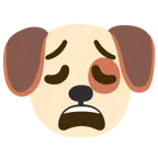 Hundegesicht + erschöpftes Gesicht