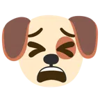 Hundegesicht + müdes Gesicht