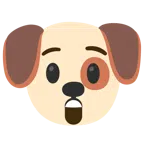 Hundegesicht + erstauntes Gesicht