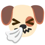 Hundegesicht + niesendes Gesicht