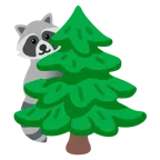 Waschbär + Nadelbaum