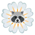 Waschbär + gelbe Blüte