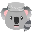 Waschbär + Koala