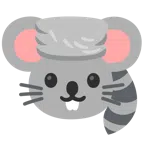 Waschbär + Mäusegesicht