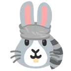 Waschbär + Hasengesicht