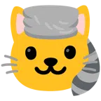 Waschbär + Katzengesicht