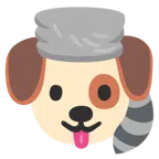 Waschbär + Hundegesicht