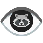 Waschbär + Auge