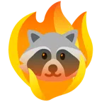 Waschbär + Feuer