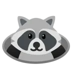 Waschbär + Loch