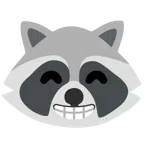 Waschbär + strahlendes Gesicht mit lachenden Augen
