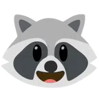 Waschbär + grinsendes Gesicht mit großen Augen