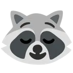 Waschbär + erleichtertes Gesicht