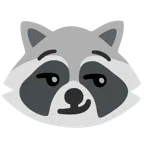 Waschbär + süffisant lächelndes Gesicht