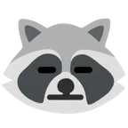 Waschbär + ausdrucksloses Gesicht