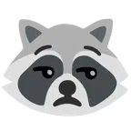 Waschbär + verstimmtes Gesicht