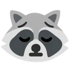 Waschbär + nachdenkliches Gesicht